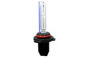 لامپ H10 زنون آبی